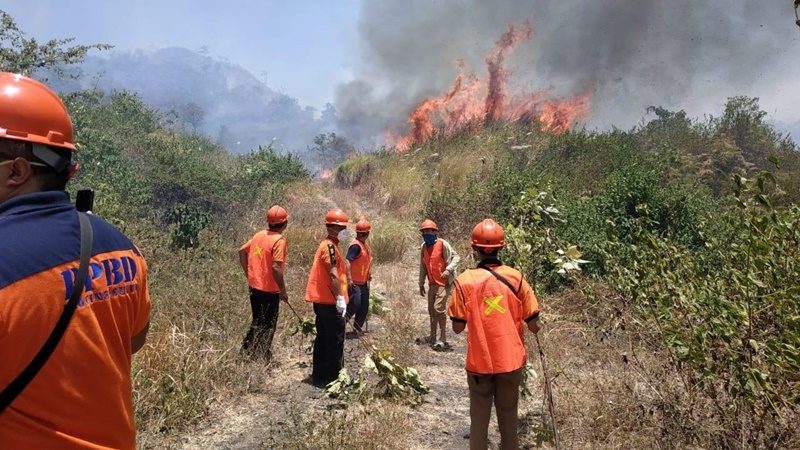 Wilayah Minahasa Kembali Dilanda Kebakaran Lahan