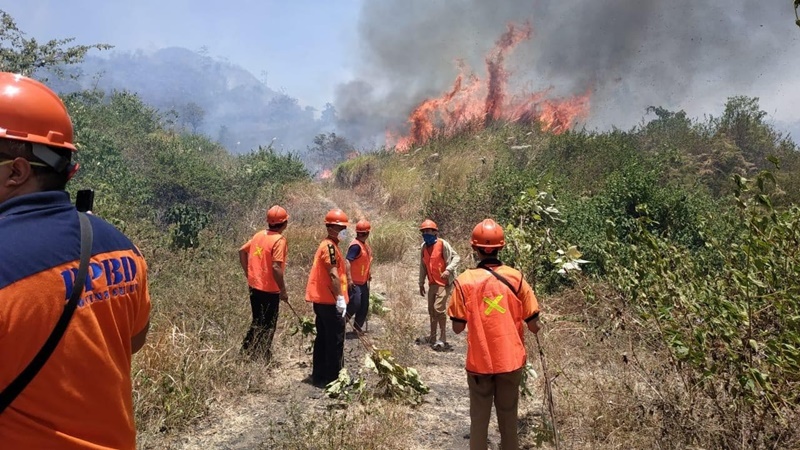 Wilayah Minahasa Kembali Dilanda Kebakaran Lahan