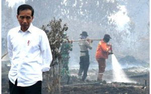 Terkait Karhutla, Jokowi Tegaskan Pentingnya Pencegahan