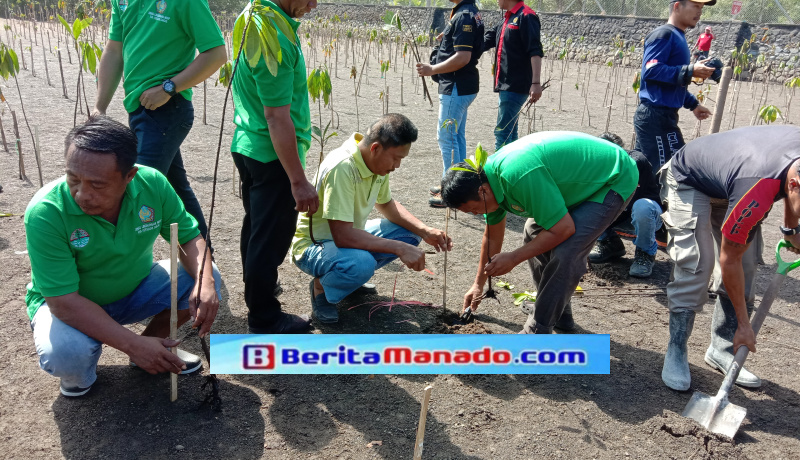 Penanaman 3.000 Bibit Mangrov Dalam Rangka HUT ke-74 TNI