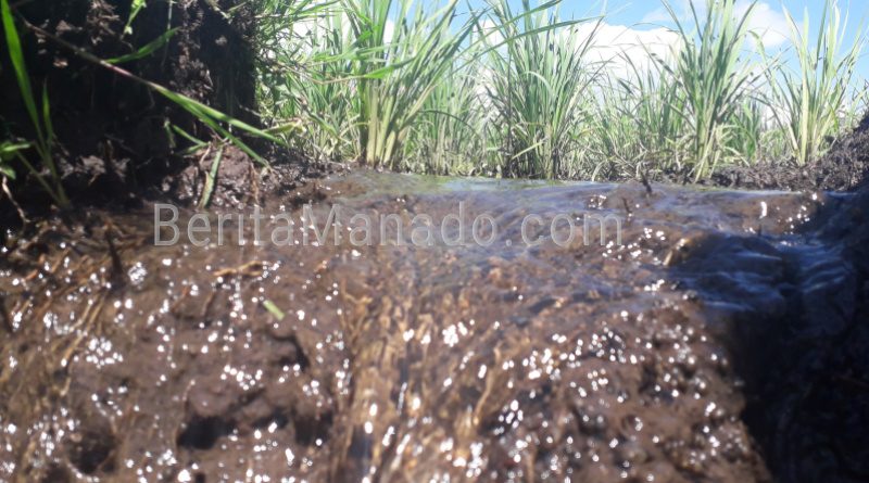 Pasokan Air Sawah di Desa Wolaang Tidak Lagi Mengkhawatirkan