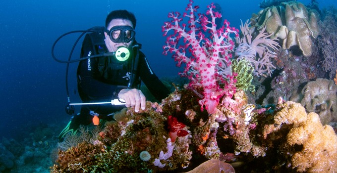 Ini Yang Dirasakan Maurits Mantiri Saat Nikmati The Mecca of Divers di Selat Lembeh