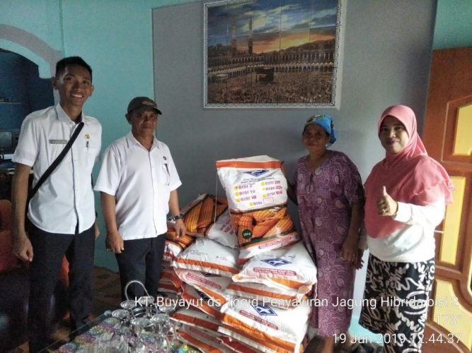 Dinas Pertanian Tidak Tahu Ada Bibit Jagung Diperjual Belikan ke Gorontalo 1 Dinas Pertanian Tidak Tahu Ada Bibit Jagung Diperjual Belikan ke Gorontalo