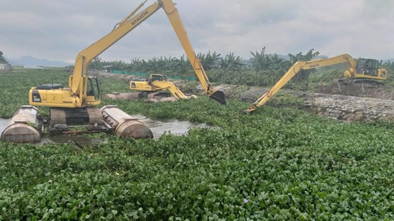 Pemkab Minahasa Lakukan Hal Ini Kurangi Populasi Eceng Gondok