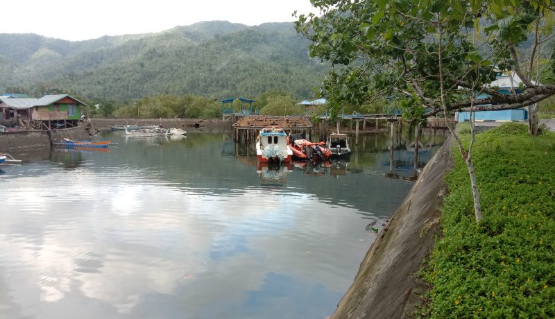 Kawasan Mangrove Dulu Sepi Kini Jadi Tempat Kuliner 9 Kawasan Mangrove Dulu Sepi Kini Jadi Tempat Kuliner