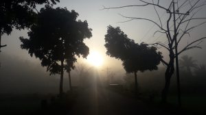 Fenomena Alam Ini Ada di Desa Tempang Setiap Pagi
