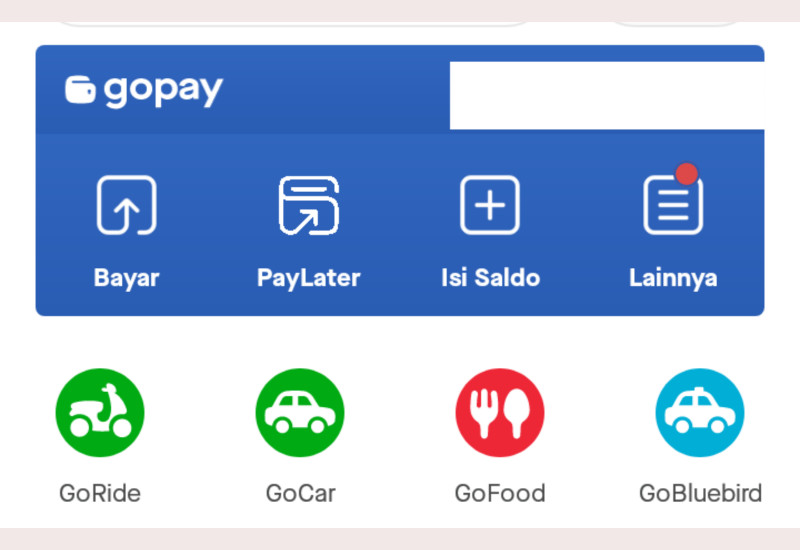 Pakar Hipnoterapi Bagi Tips Hindari Pencurian Saldo GoPay Lewat Hipnotis