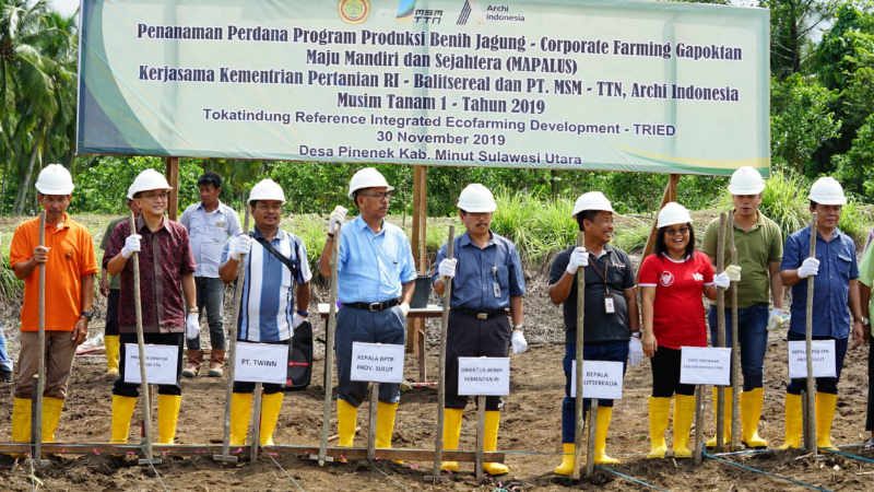 PT MSM-TTN Buat Terobosan! Tanam Jagung di Lahan Tambang