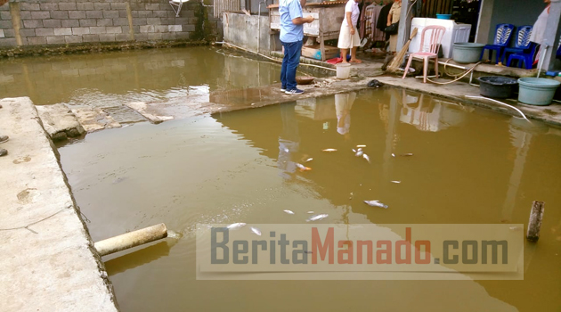 Ratusan Ikan Siap Panen Mengapung di Sagerat, DHL Bakal 