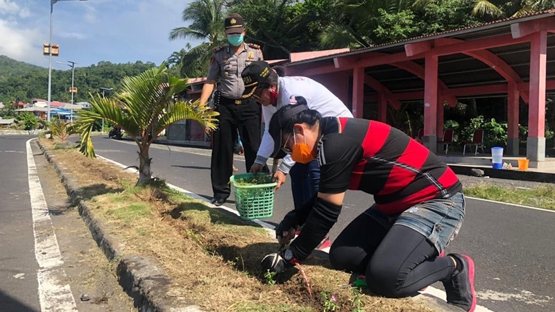 Pantau Wilayah, Bupati Evangelian Sasingen Tanam Pohon di Boulevard Ulu