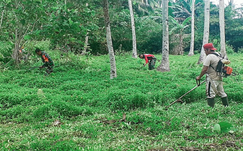 Dukung Swasembada Pangan, Dandim 1301/Sangihe Instruksikan Seluruh Jajaran Manfaatkan Lahan Tidur