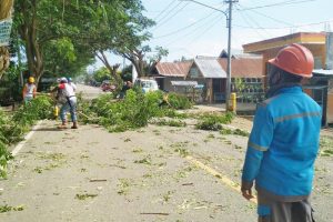 Jelang Ramadhan, PLN Unit Modayag Lakukan Pemangkasan Pohon
