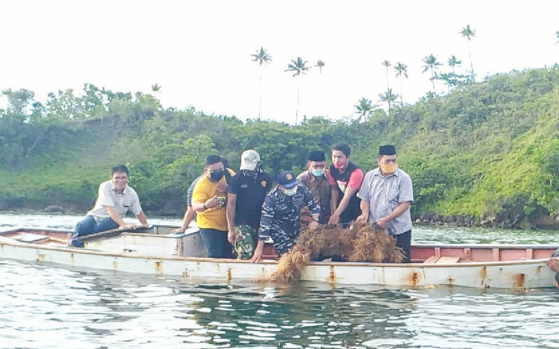 Solusi Ekonomi Ditengah COVID-19, Pemkab Sangihe Seriusi Budidaya Rumput Laut