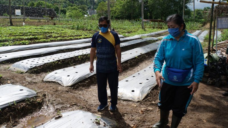 Selain Asah Kemampuan Menembak Pistol Danlanamal VIII Tinjau Lahan Garapan Ketahanan Pangan