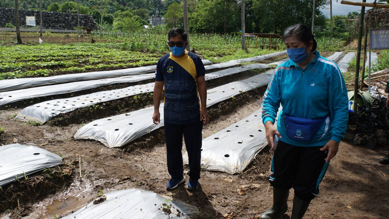Selain Asah Kemampuan Menembak Pistol Danlanamal VIII Tinjau Lahan Garapan Ketahanan Pangan