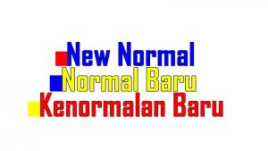 The Term New Normal from Linguistics Point of View