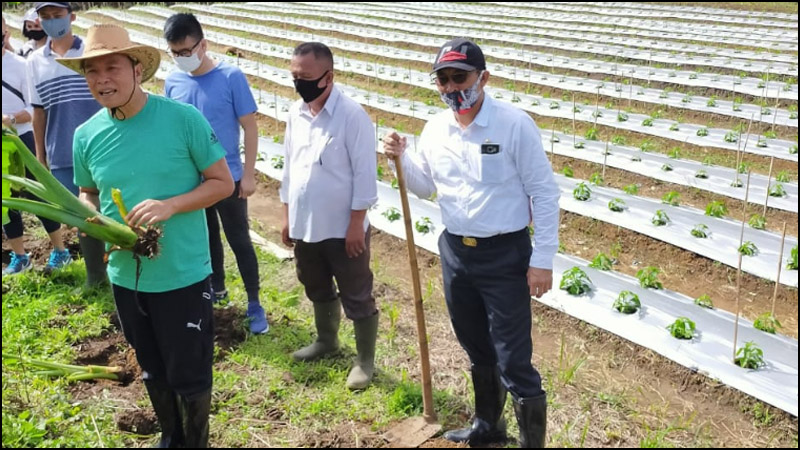 Ibadah Kreatif P/KB, Wali Kota Tomohon Tanam Ubi dan Daun Bawang