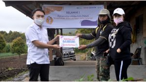 Gunakan NPK Pelangi, Petani Bolmong Tingkatkan Hasil Panen Kentang