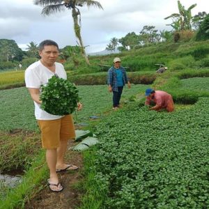 Aktifkan Pariwisata Sulut, Pengamat: Tahap Awal untuk Lokal Dulu
