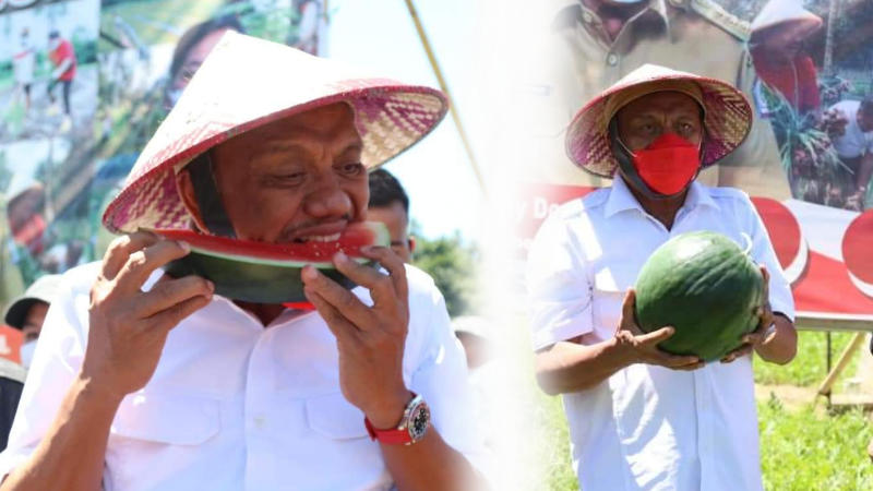 Panen Semangka di Minsel, Olly Dondokambey Serahkan Bantuan Asuransi Petani dan Peternak