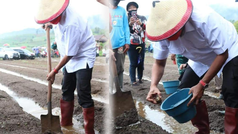 Tanam Kentang di Modoinding, Gubernur Olly Dondokambey Segera Bangun Jalan Lingkar Taman Wisata Minsel