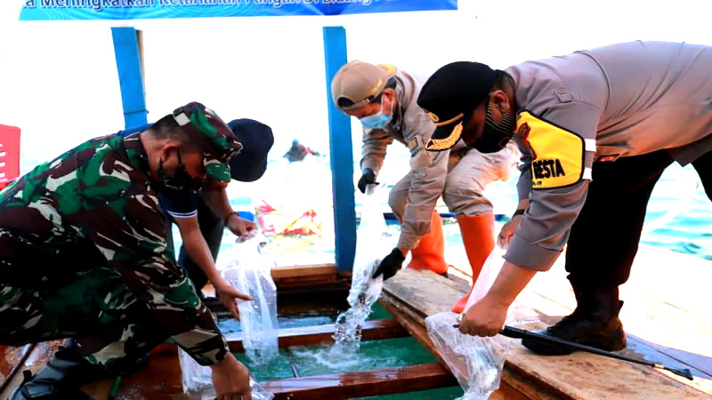 Jaga Ketahanan Pangan, Vicky Lumentut Lepaskan 3000 Bibit Ikan untuk Budidaya