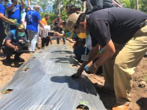 Lakukan Penanaman Perdana di Kebun Pemuda FKUB, Bupati Jabes Gaghana Ajak Masyarakat Sangihe Lebih Giat Bercocok Tanam