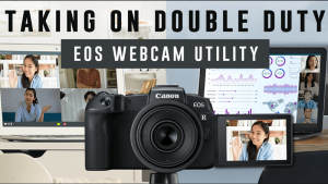 Canon Hadirkan Software Baru, Bisa Zoom Pakai Kamera Mirrorless dan DSLR