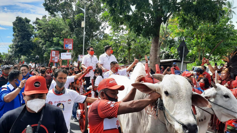 Ribuan Massa Antar Joune Ganda-Kevin Lotulung Mendaftar, Harapan Baru Minahasa Utara