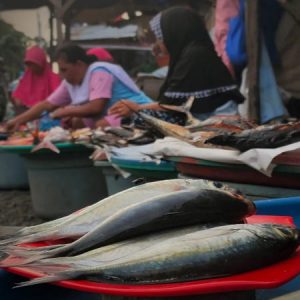 Pandemi Hantam Ekonomi Pedagang Ikan Pasar Inobonto
