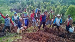 Petani Muda Sangihe Bertahan di Masa Pandemi