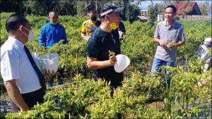 Panen Cabe P/KB Maranatha Paslaten: Gereja dan Pemerintah Diminta Bersatu Hadapi Pandemi COVID-19