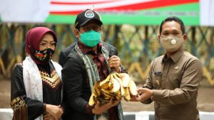 Mendes PDTT: BUMDes Kini Setara PT, Koperasi, dan  Organisasi