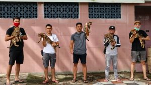Cerita Krisna Hendrawan Bersama para ‘Bengalnya’, Dari Hobi Jadi Profit