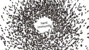 Masih Lama, IDI Prediksi Herd Immunity Terbentuk 2023