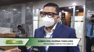 DPR dan Pemerintah Sepakat Tunda Revisi UU Pemilu