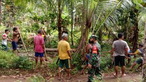 Mudahkan Akses Menuju Kebun, Babinsa dan Warga Pelelangen Bangun Jembatan