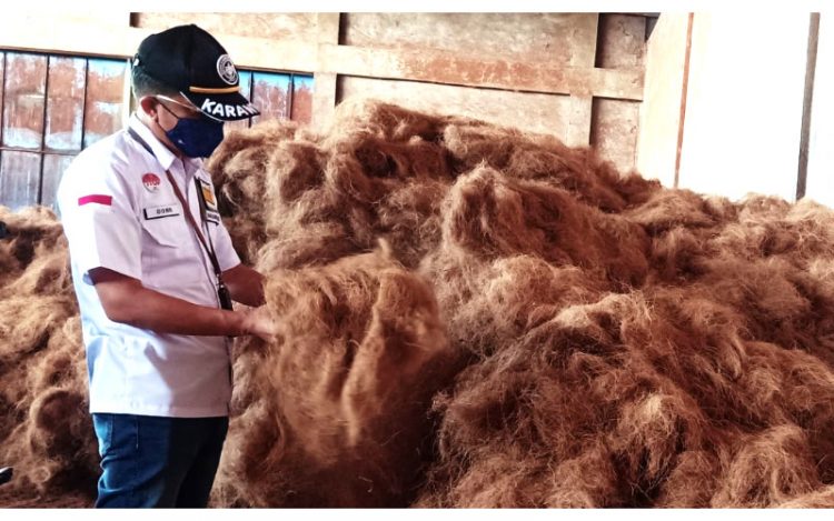 Serat Halus Sabut  Kelapa  Limbah yang Jadi Komoditas 