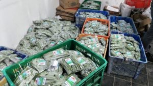 Kemenkop-UKM Bantu Pendampingan Petani Holtikultura di Tlahab Kidul Purbalingga
