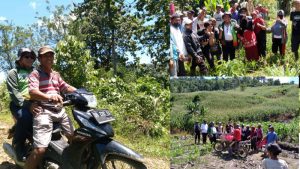 Isi Waktu Luangnya, Wabub Amin Lasena Kunjungi Petani Tuntung Bersatu