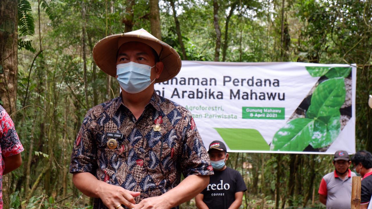 Penanaman Perdana Kopi Arabika Mahawu di Tomohon