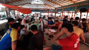 Edukasi Perlindungan Satwa Liar, Selamatkan Yaki Gagas Torang Bacerita di Pasar