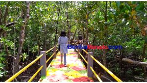 Dalam Persiapan, Wisata Mangrove Sonsilo Segera Dibuka Kembali