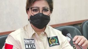 BAP DPD RI Bahas Pengaduan Permasalahan Sertifikasi Guru, Ini Komentar Maya Rumantir