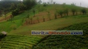 Eco-Agrotourism, Dua Pilar Sektor Pariwisata Tomohon Yang Menjanjikan