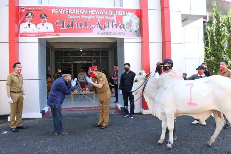 Bersama Forkopimda, Royke Roring Serahkan Hewan Kurban Untuk 34 Masjid