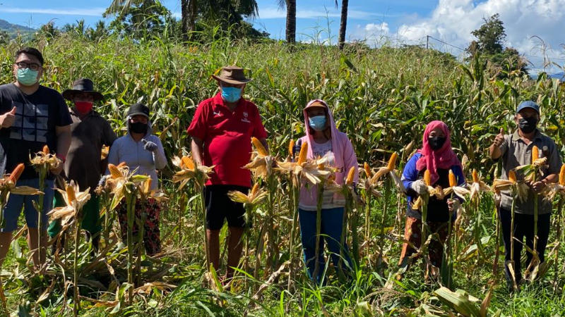 Duo Dondokambey Panen Jagung 10 Ha, Ajak Warga Manfaatkan Lahan Kosong