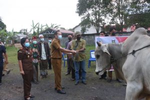 Serahkan Hewan Kurban, Caroll Senduk Beri Pesan Ini