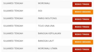 Tetap Waspada! Zonasi Covid-19 di Sulteng Belum Memuaskan