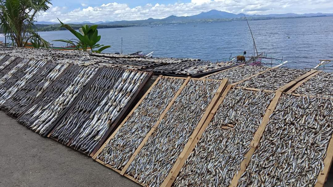 Ikan Tandipang Dijadikan Wisata Kuliner Minsel, Ini Lokasi Pembuatannya